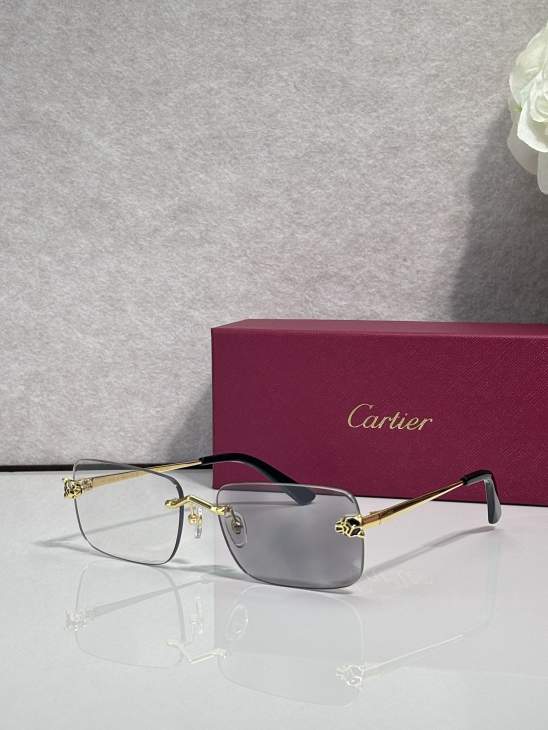 Picture of Cartier Sunglasses _SKUfw79759925fw